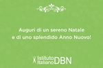 Buone Feste dall’Istituto Italiano DBN!